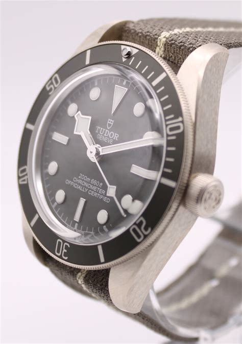 tudor silver ufficiale|tudor m79010sg.